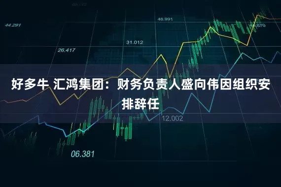 好多牛 汇鸿集团：财务负责人盛向伟因组织安排辞任