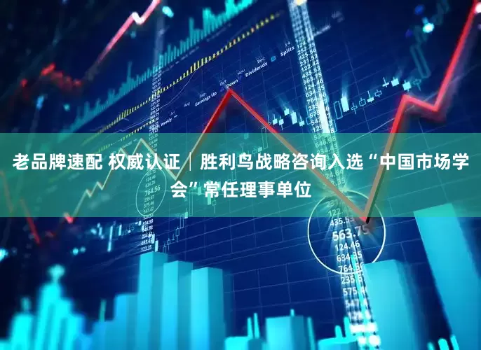 老品牌速配 权威认证│胜利鸟战略咨询入选“中国市场学会”常任理事单位