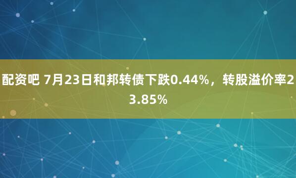 配资吧 7月23日和邦转债下跌0.44%，转股溢价率23.85%